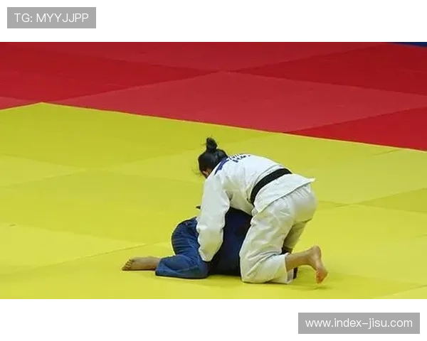 男女柔道技术差异分析，体重级别策略不同